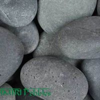 KASH SINO BLACK.jpg