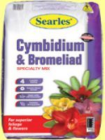 NEW SEARLES CYMBIDIUM 200.jpg