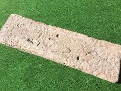 TIMBERSTONE PAT 4.jpg