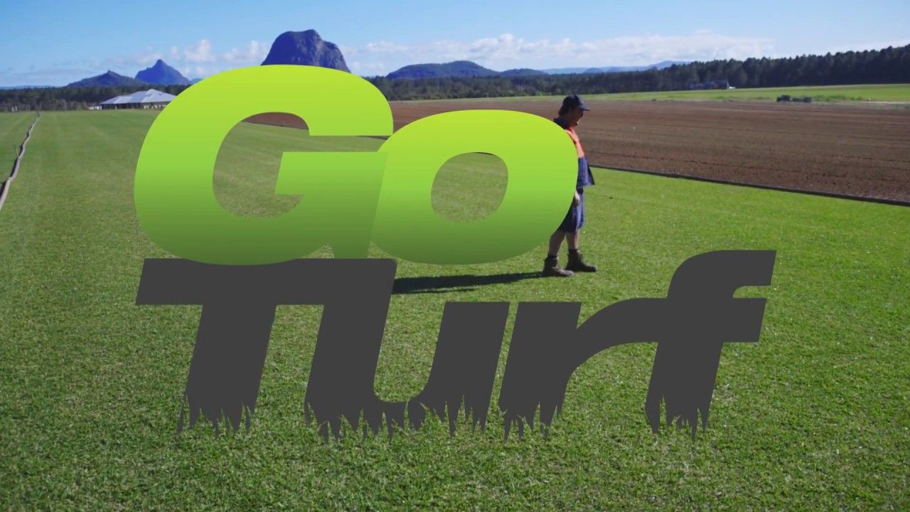 go turf logo new.jpg